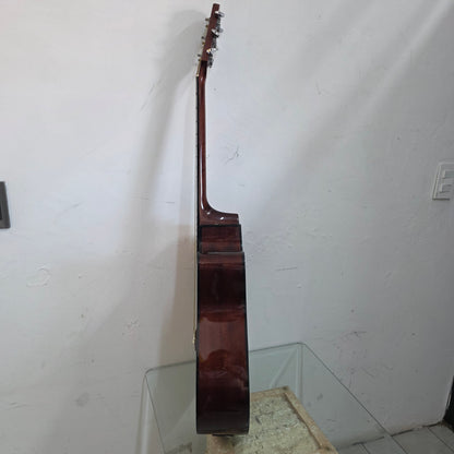 Guitarra Electroacústica Fender