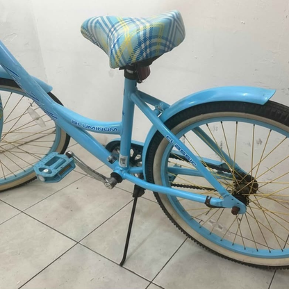 Bicicleta Kent