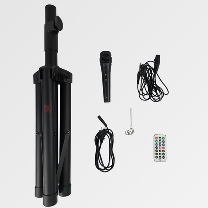 Bafle Amplificado KAISER.